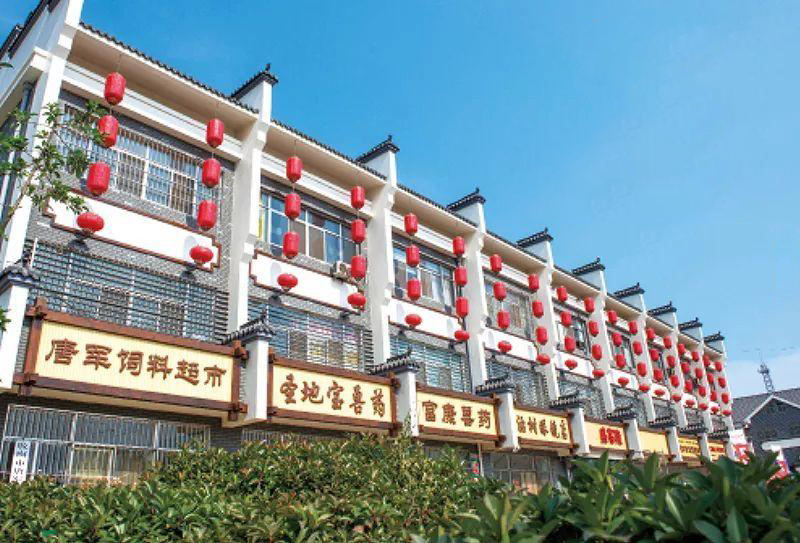 青岛海青后河西美丽乡村规划设计